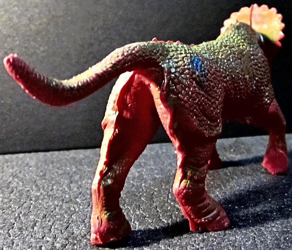 Il Triceratops da dietro, con la coda sottile e la velatura verde sul dorso