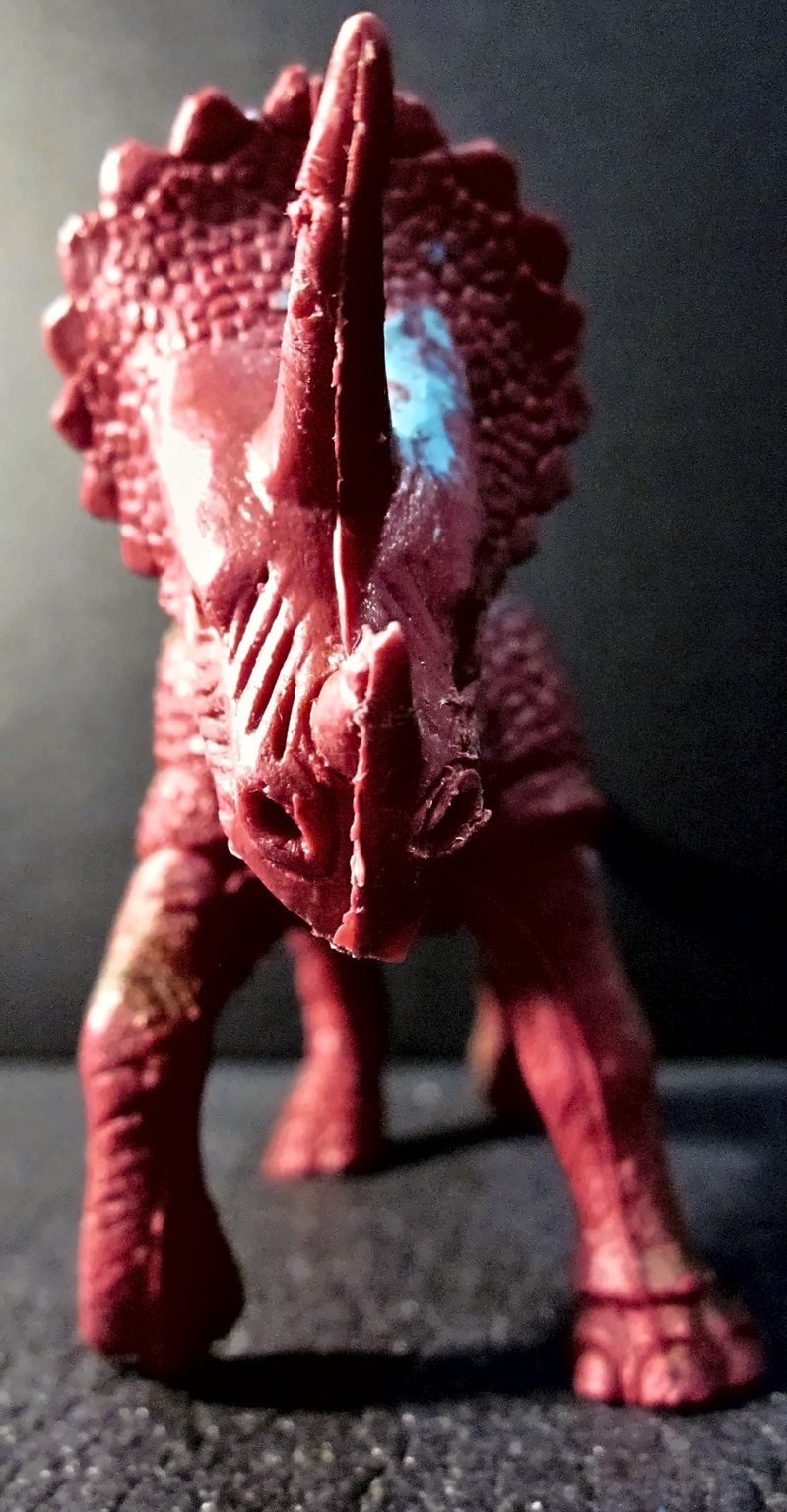 Il Triceratops di fronte, con una macchia blu non originale sul collare