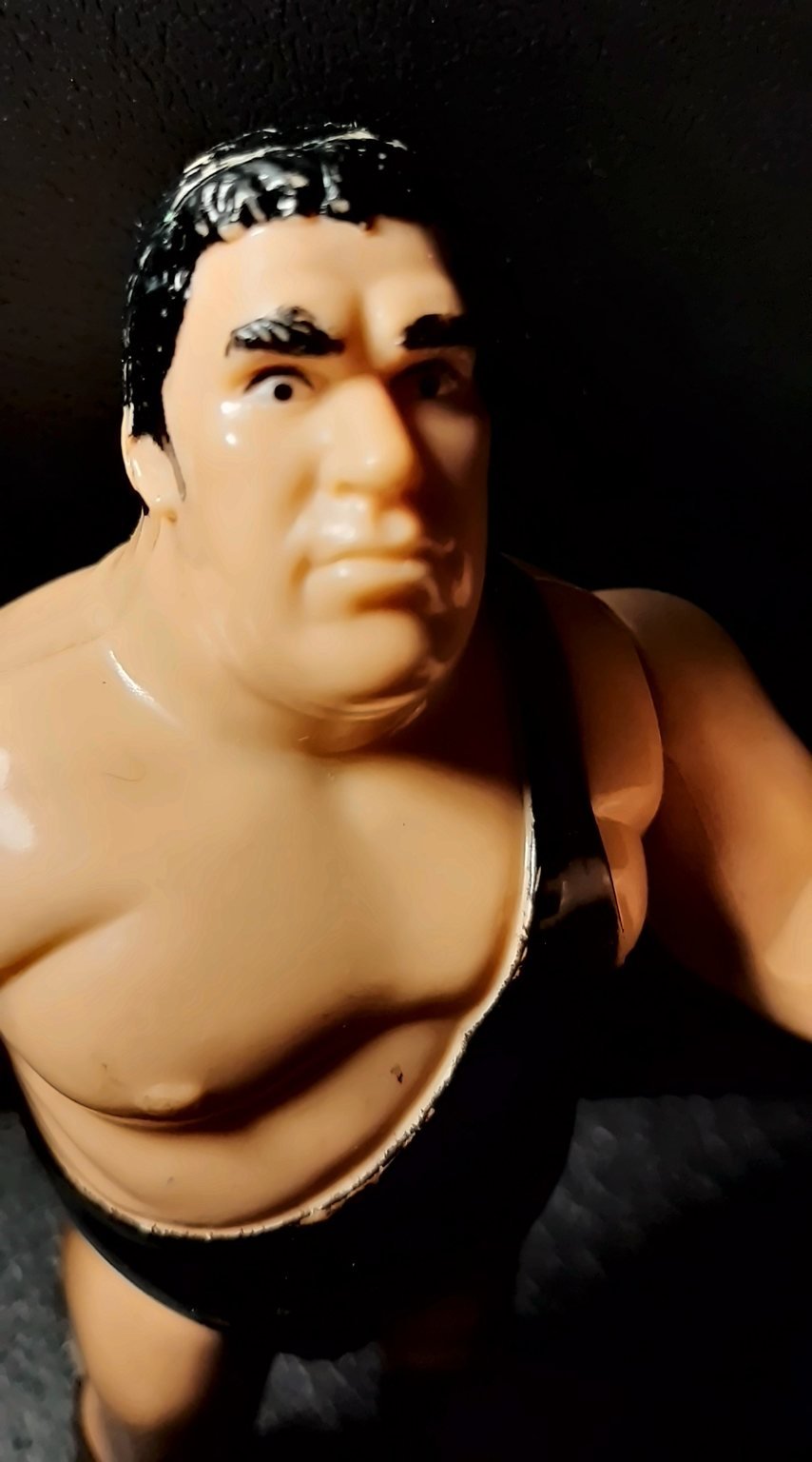 Il volto di André the Giant, visto dall'alto