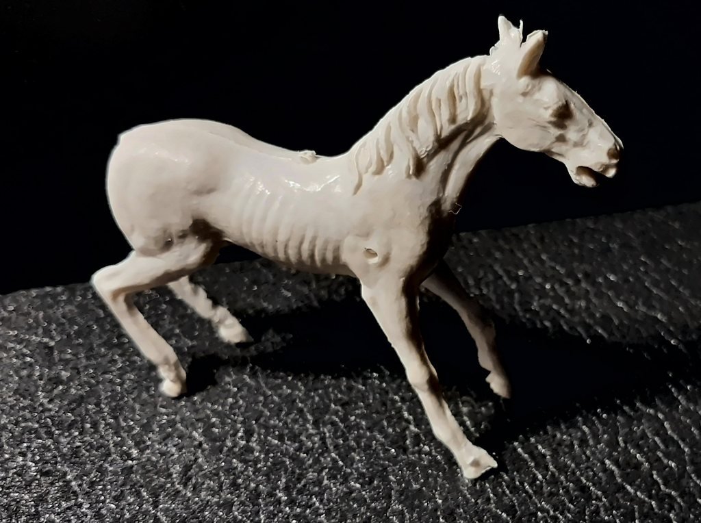 Il cavallino di fianco, al passo, con le costole in evidenza e il foro sul fianco