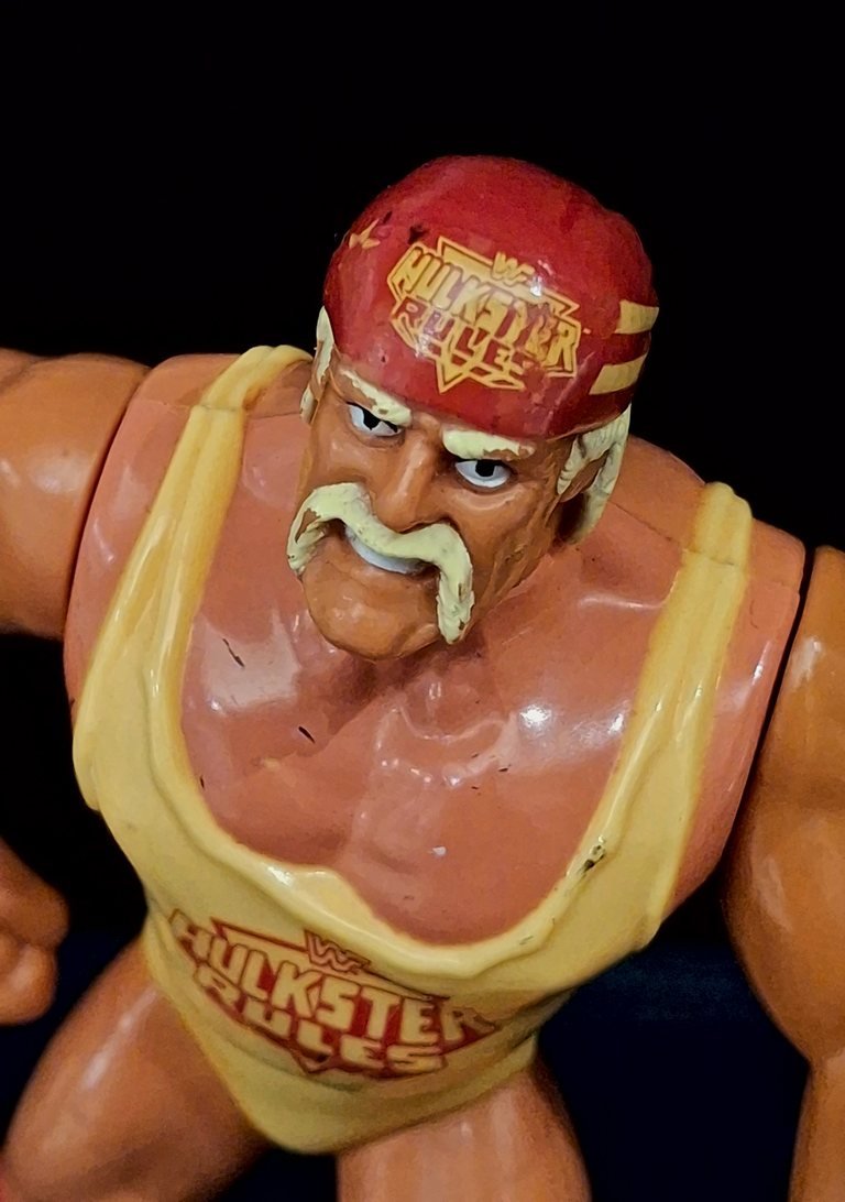 Hulk Hogan visto dall’alto, con la scritta “Hulkster Rules” sulla bandana e sulla canotta