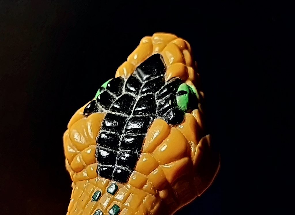 La testa del serpente da vicino, con le scaglie nere sulla sommità e gli occhi verdi
